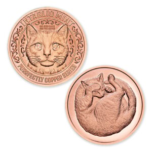 PURRFECTLY COPPER SERIES - SLEEPING CAT