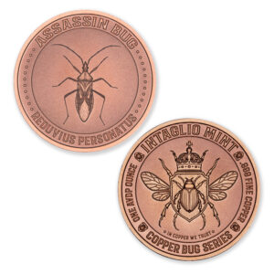 COPPER BUG SERIES - ASSASSIN BUG