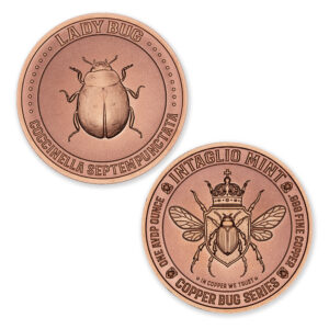 COPPER BUG SERIES - LADY BUG