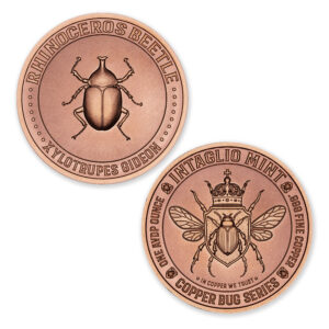 COPPER BUG SERIES - RHINOCEROS BEETLE