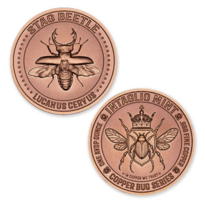 COPPER BUG SERIES - STAG BEETLE