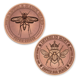 COPPER BUG SERIES - TARANTULA HAWK WASP